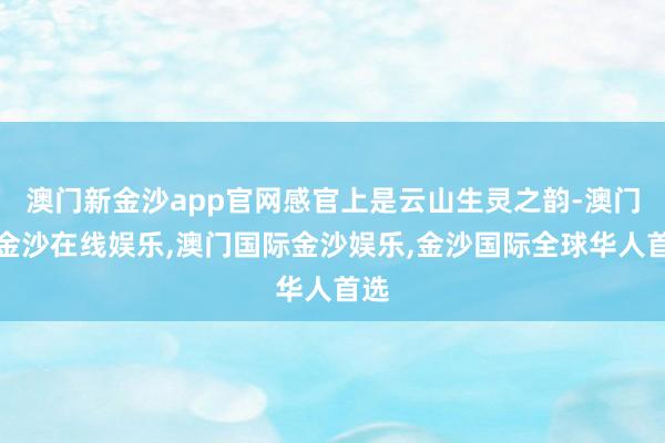 澳门新金沙app官网感官上是云山生灵之韵-澳门新金沙在线娱乐,澳门国际金沙娱乐,金沙国际全球华人首选