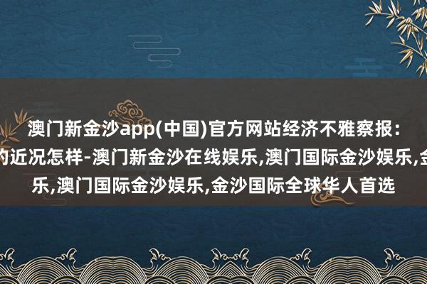 澳门新金沙app(中国)官方网站经济不雅察报：中国企业投资墨西哥的近况怎样-澳门新金沙在线娱乐,澳门国际金沙娱乐,金沙国际全球华人首选