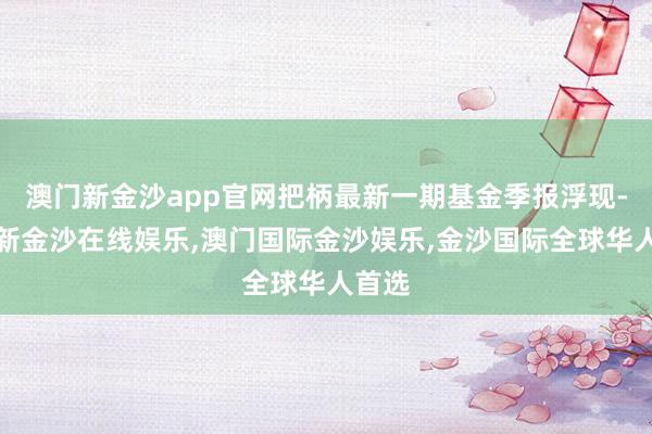 澳门新金沙app官网把柄最新一期基金季报浮现-澳门新金沙在线娱乐,澳门国际金沙娱乐,金沙国际全球华人首选