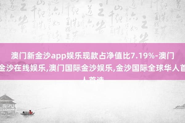 澳门新金沙app娱乐现款占净值比7.19%-澳门新金沙在线娱乐,澳门国际金沙娱乐,金沙国际全球华人首选