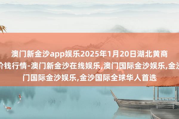 澳门新金沙app娱乐2025年1月20日湖北黄商集团股份有限公司价钱行情-澳门新金沙在线娱乐,澳门国际金沙娱乐,金沙国际全球华人首选