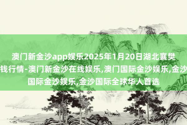 澳门新金沙app娱乐2025年1月20日湖北襄樊市蔬菜批发阛阓价钱行情-澳门新金沙在线娱乐,澳门国际金沙娱乐,金沙国际全球华人首选